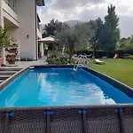 La Provenzale קמאיורה