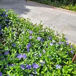 וילה La Provenzale קמאיורה