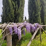 וילה La Provenzale קמאיורה
