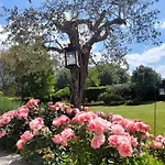 La Provenzale
