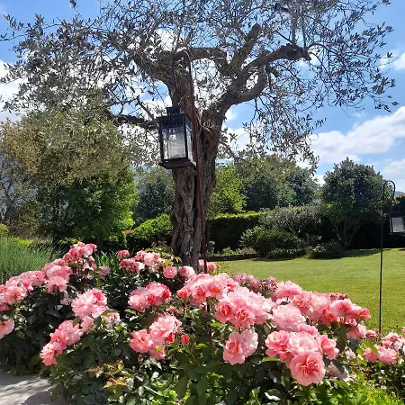 La Provenzale