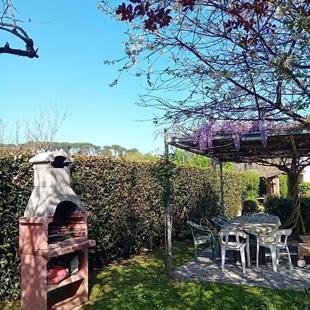 La Provenzale
