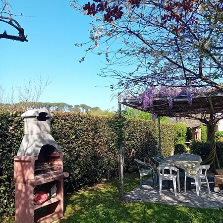 La Provenzale