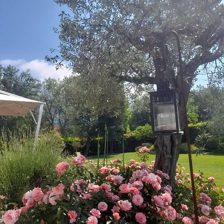 La Provenzale Villa