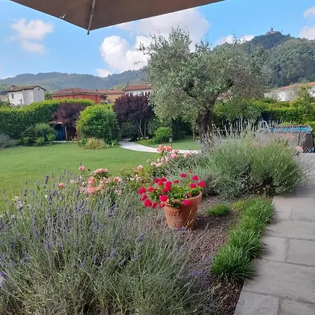 La Provenzale *