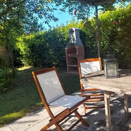 La Provenzale Camaiore