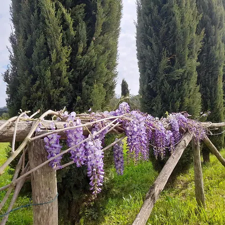 Villa La Provenzale Camaiore